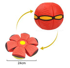 Bola Mágica Brinktoon™